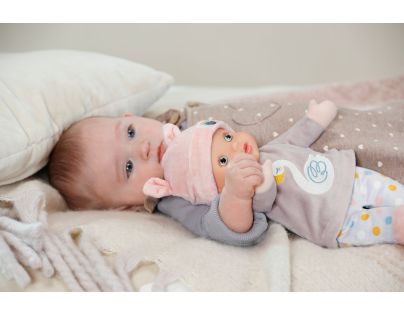 BABY born Miláček s labutí, 30 cm