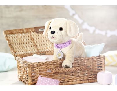 Baby Born Můj veselý pejsek s přepravním boxem II