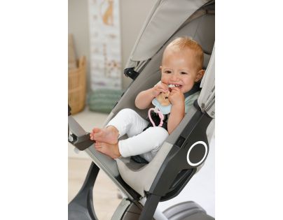 BABY born Plyšový dudlík