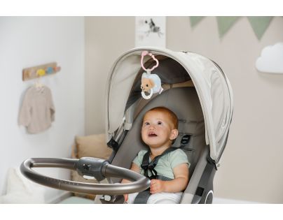 BABY born Plyšový dudlík