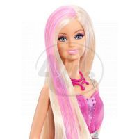 Barbie Dlouhovláska s doplňky 4