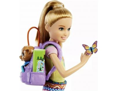 Barbie DreamHouse Adventure kempující sestra 23 cm se zvířátkem Stacie™