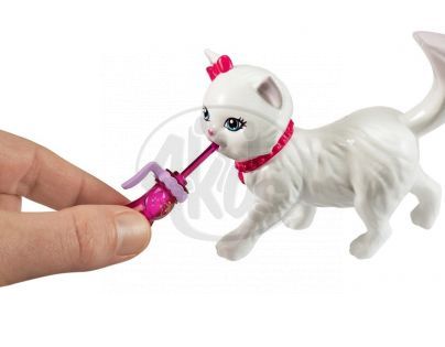 MATTEL Barbie BHG13_BDH76 - Barbie Hrací set s koťátkem