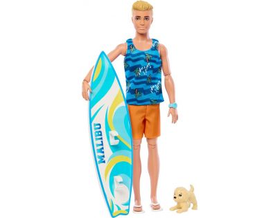Barbie Ken Surfař s doplňky