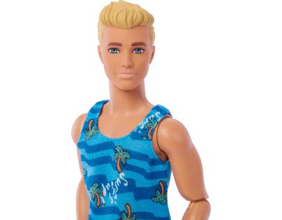 Barbie Ken Surfař s doplňky