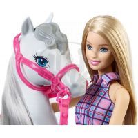 Mattel Barbie panenka s bílým koněm 4