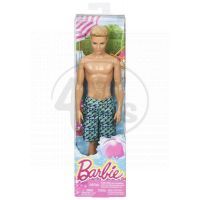 Barbie Plážový Ken (Mattel CFF16) 2