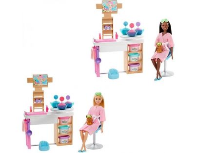 Barbie salón krásy herní set s běloškou