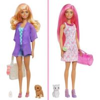 Barbie se zvířátkem color reveal míšenka 5