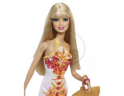 Barbie Tropická párty - Barbie