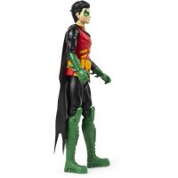 Spin Master Batman figurky hrdinů 30 cm Robin 3