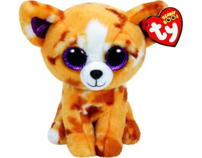 Beanie Boos Pablo 15 cm Čivava