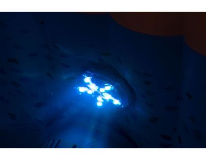 Bestway Lay-Z-Spa barevné LED světlo