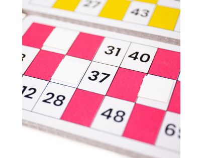 Bigjigs Toys Tradiční Bingo