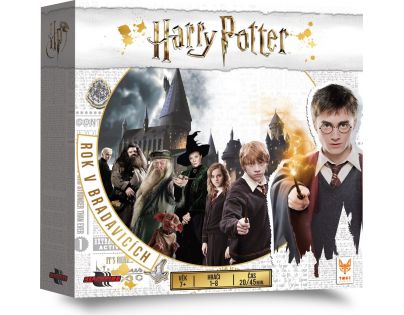 Black Fire Harry Potter Rok v Bradavicích