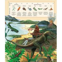 Bookmedia Dinosauři 3