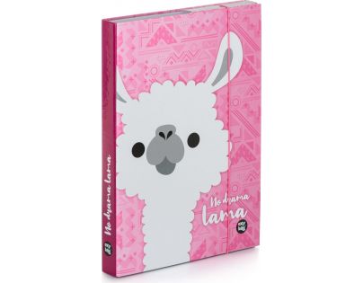 Karton P+P Box na sešity A4 Lama