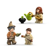 LEGO® Harry Potter™ 76445 Bradavický hrad: Hodina bylinkářství 6