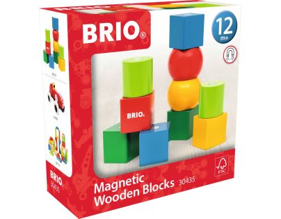 Brio Magnetické dřevěné kostky