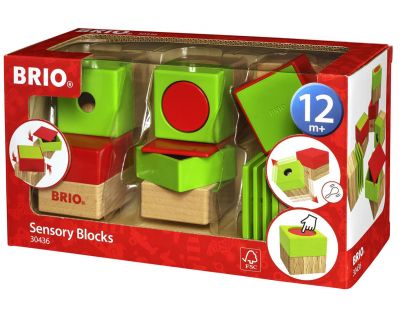 Brio Smyslové kostky