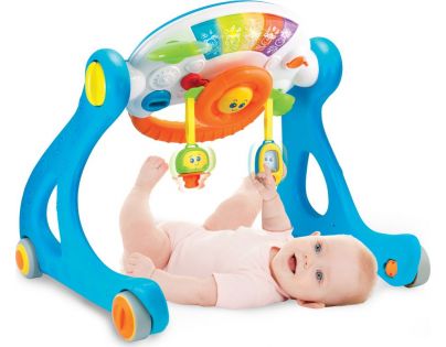 Buddy Toys Chodítko 5v1