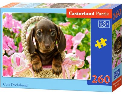 Castorland Puzzle Roztomilý jezevčík v košíku 260 dílků