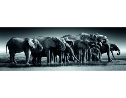 Clementoni puzzle 1000 Panorama Stádo obrů