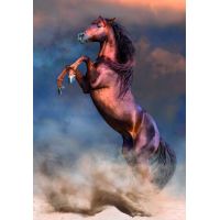 Clementoni puzzle 500  Divoký červený hřebec 2