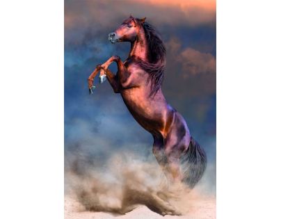 Clementoni puzzle 500  Divoký červený hřebec