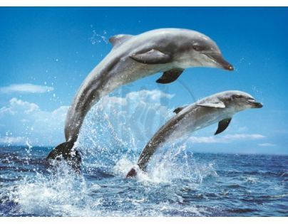 Clementoni 39205 - Puzzle 1000, Delfíni v moři