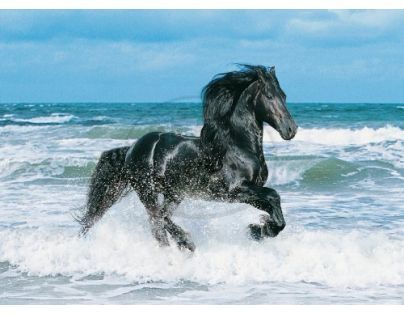 Clementoni Puzzle Kůň v moři 500 dílků