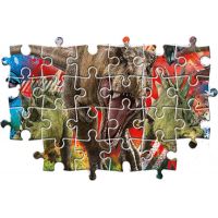 Clementoni Puzzle Supercolor maxi Jurský svět 60 dílků 3
