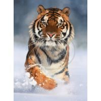 Clementoni 39171 - Puzzle 1000, Tiger 2