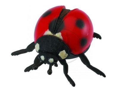 Collecta Beruška