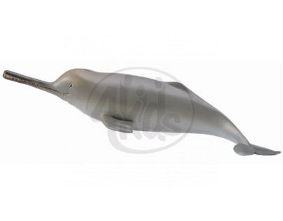 Collecta Delfínovec ganžský