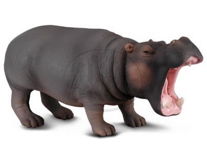 Collecta Hroch
