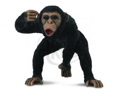 Collecta Šimpanz