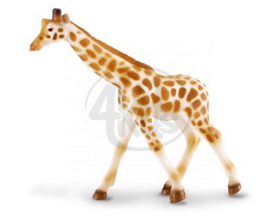 Collecta Žirafa africká mládě