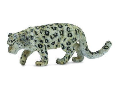 Collecta Irbis horský