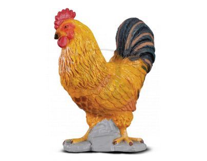 Collecta Kohout