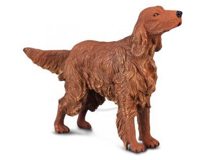 Collecta Irský setr