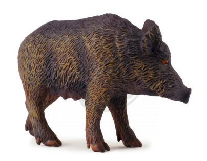 Prase divoké bachyně - figurka Collecta