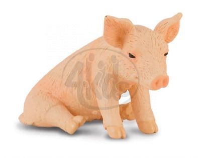 Collecta Sele sedící