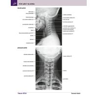 Cpress Netterův anatomický atlas člověka Překlad 8. vydání 2