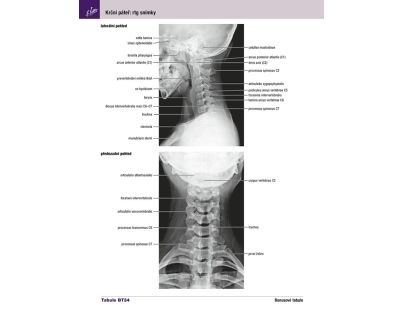 Cpress Netterův anatomický atlas člověka Překlad 8. vydání