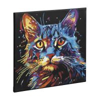 Craft Creative Malování podle čísel na černé plátno kočka 2