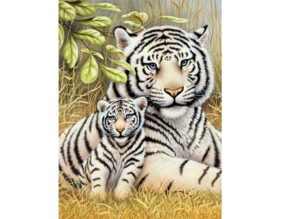 Creatoys Malování 22 x 30 cm Bílí tygři
