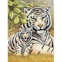 Creatoys Malování 22 x 30 cm Bílí tygři