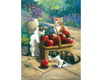 Creatoys Malování 22 x 30 cm Kočky
