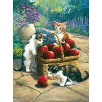 Creatoys Malování 22 x 30 cm Kočky